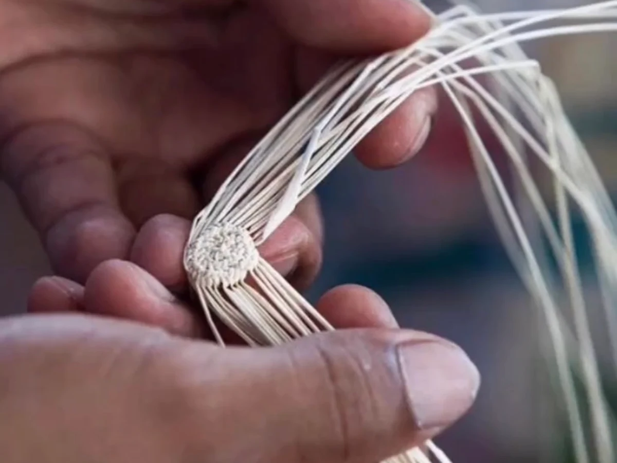 Hands starting a Toquilla weave