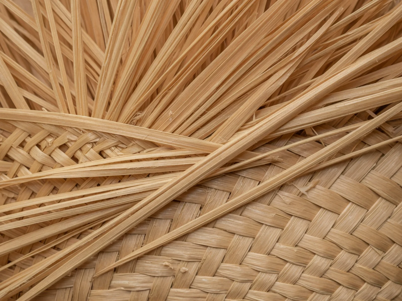 Macro of natural Toquilla fibre